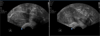 Fig. 7