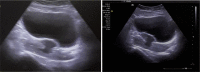 Fig. 10