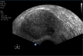 Fig. 8
