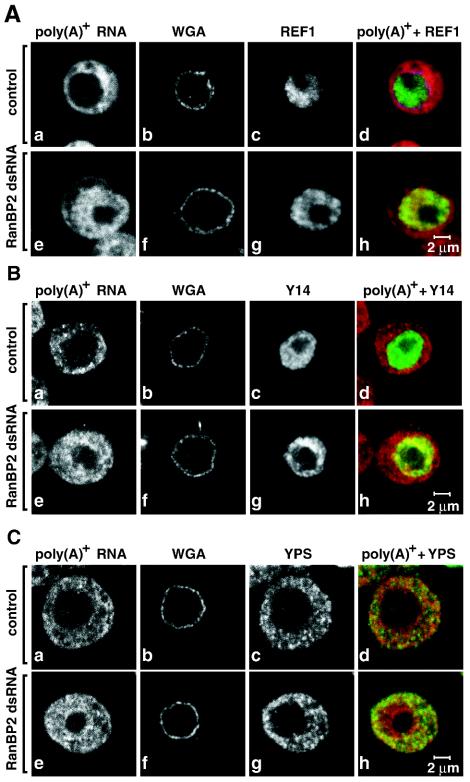 FIG. 6.