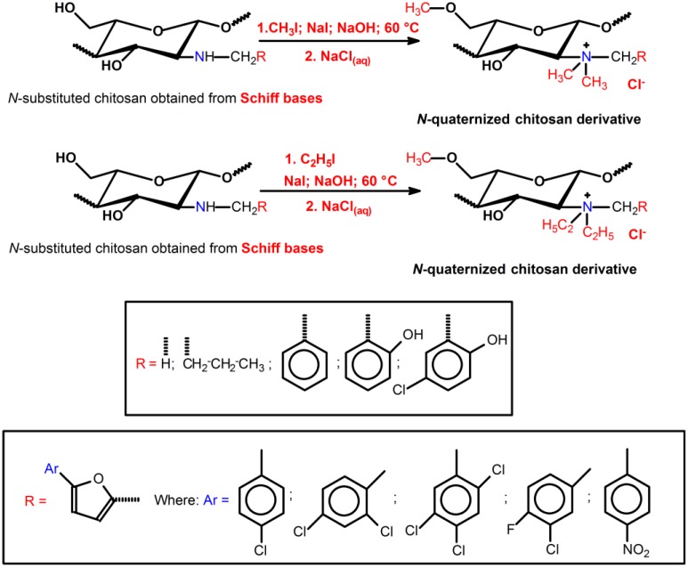 Scheme 6