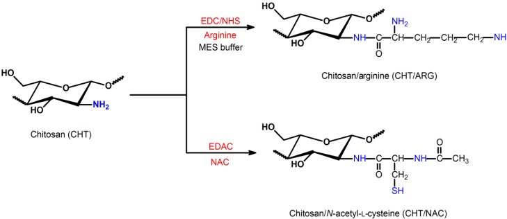 Scheme 1