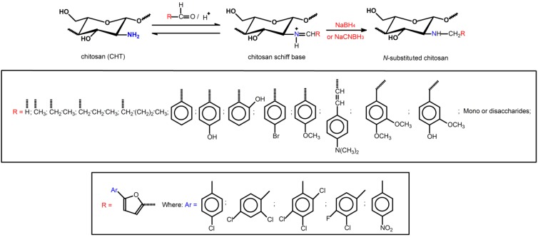 Scheme 3