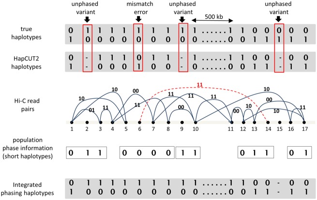 Fig. 1.