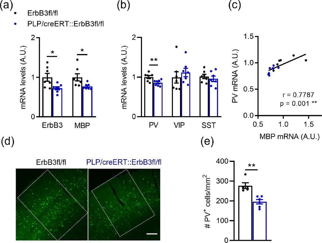 Figure 12: