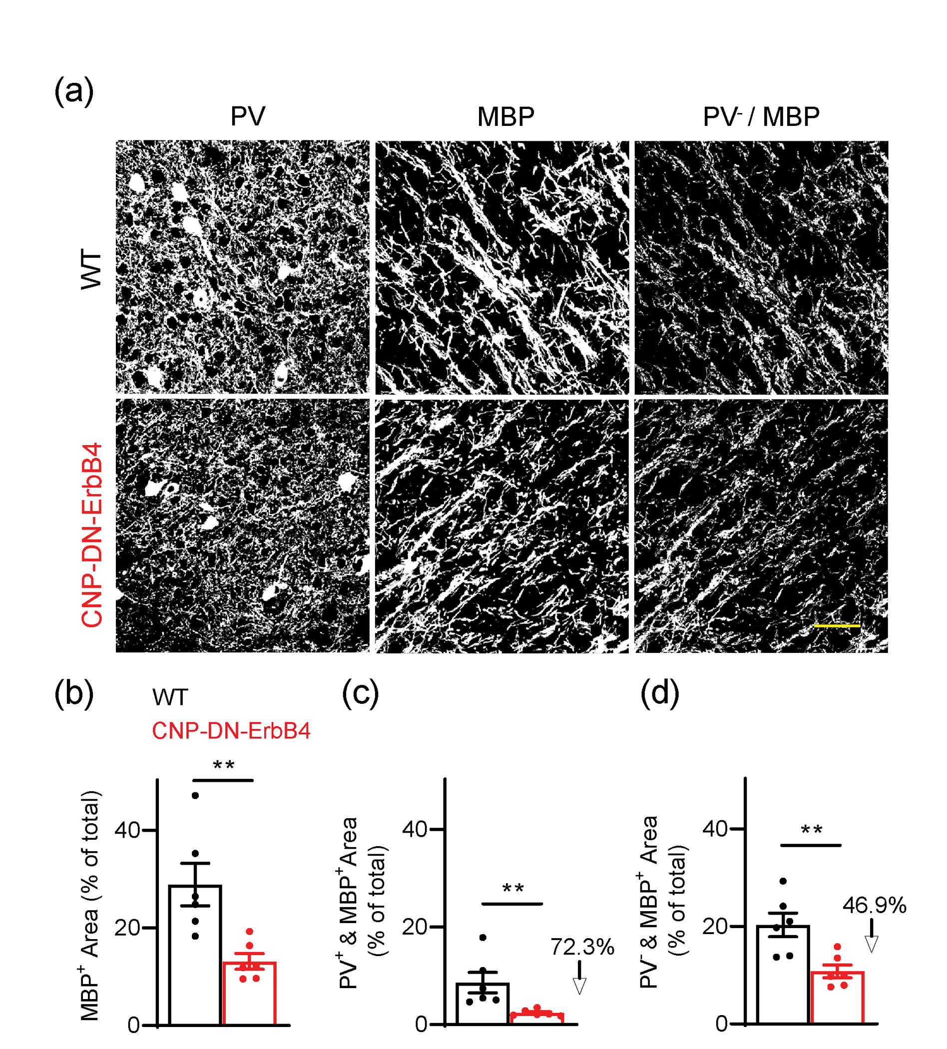 Figure 10: