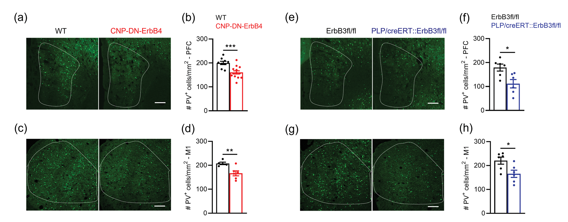 Figure 13: