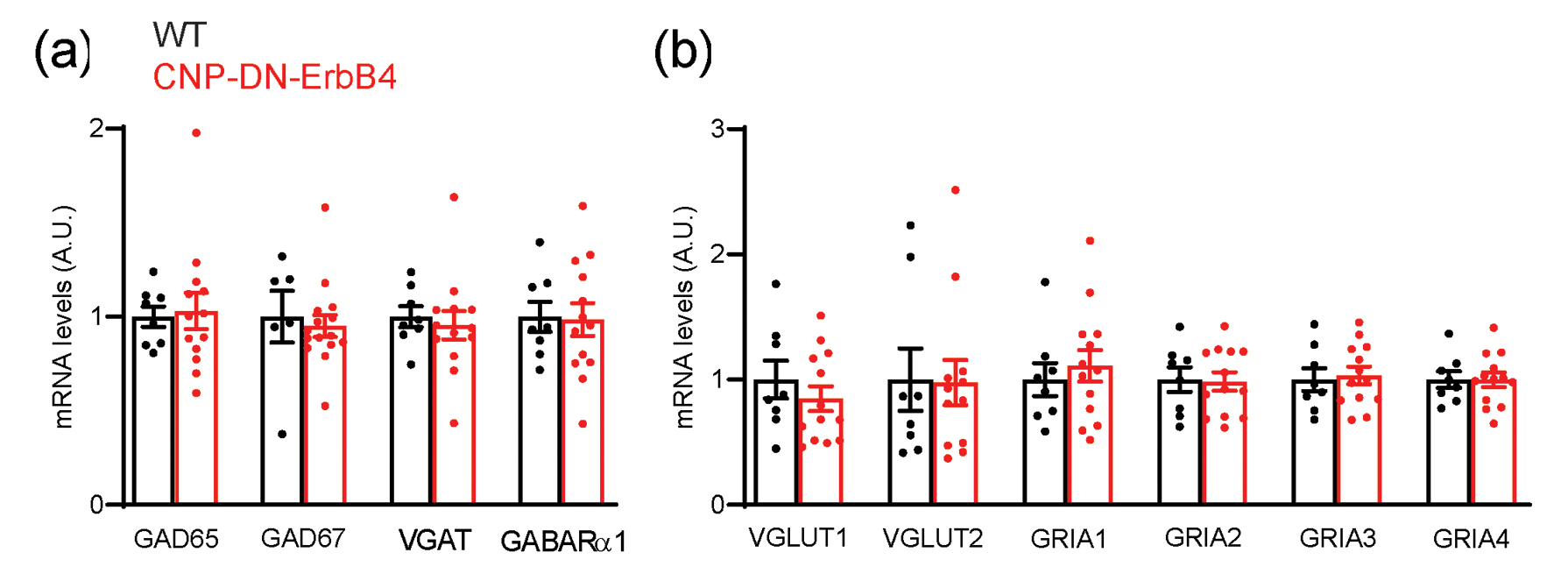 Figure 6: