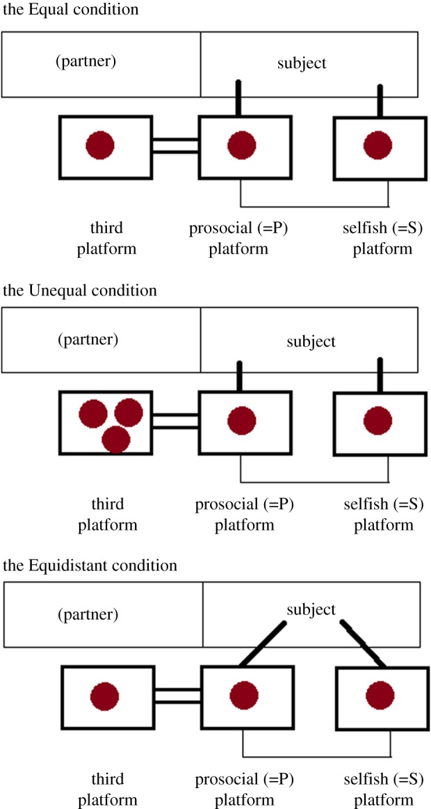 Figure 1.