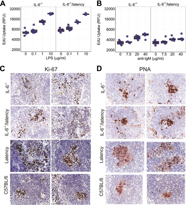 FIG 3