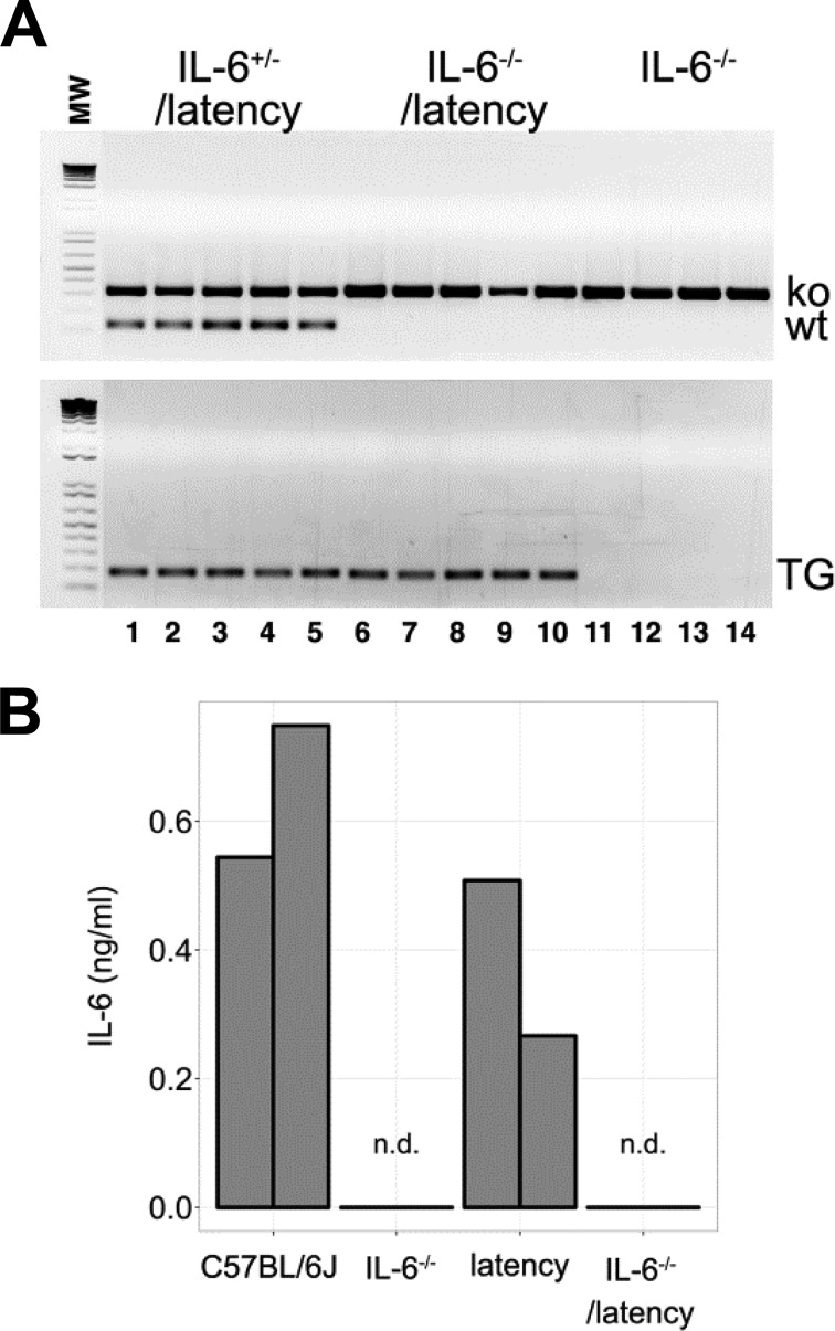 FIG 1