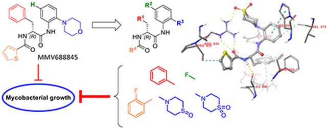 graphic file with name nihms-1937707-f0001.jpg