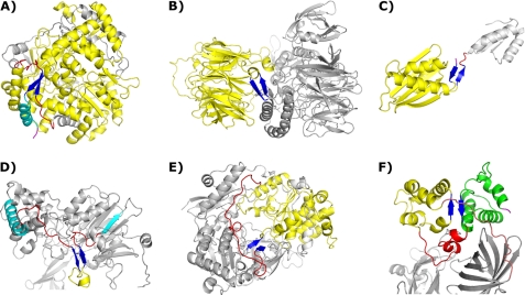 FIGURE 1.