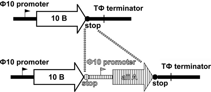 FIG 1