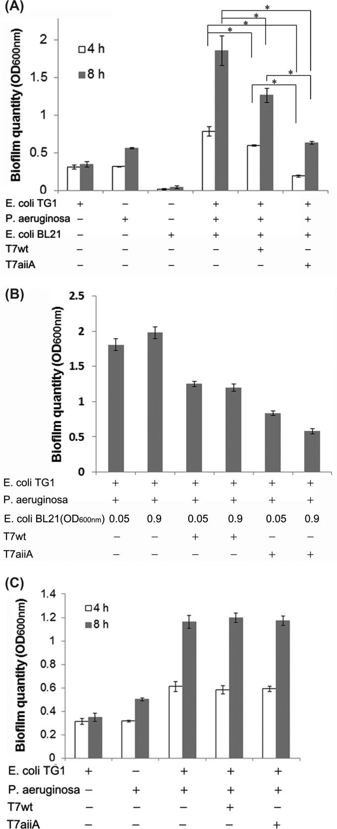 FIG 5