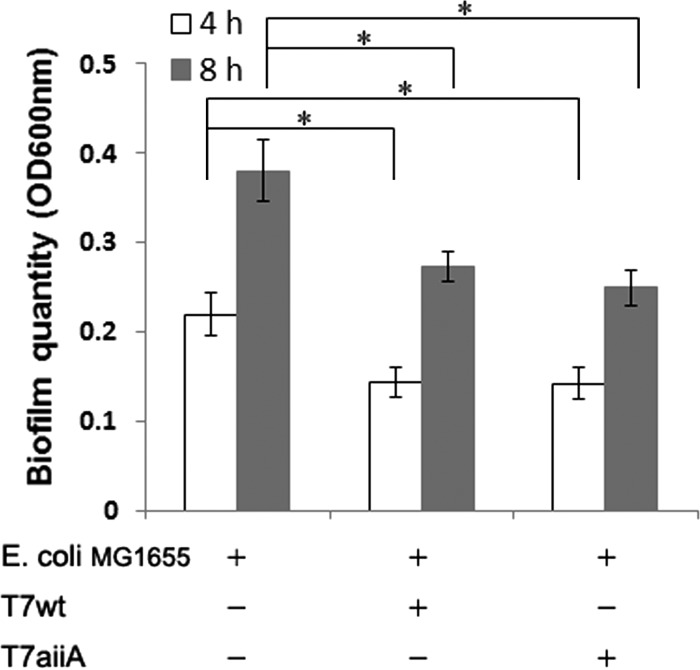 FIG 6