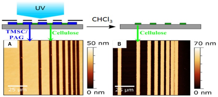 Figure 7