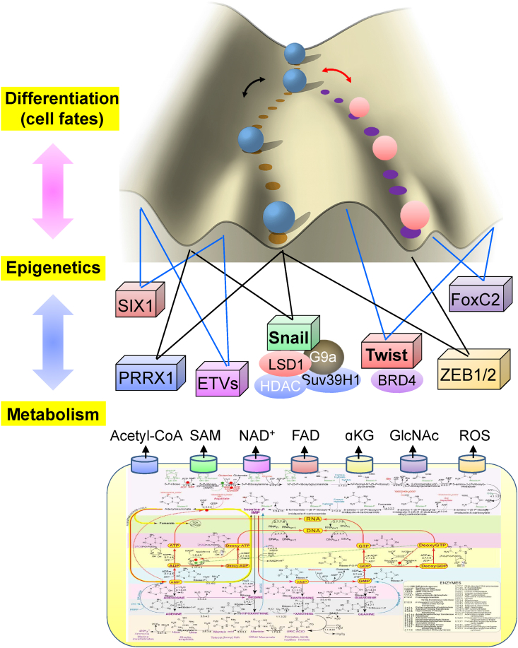 Figure 3