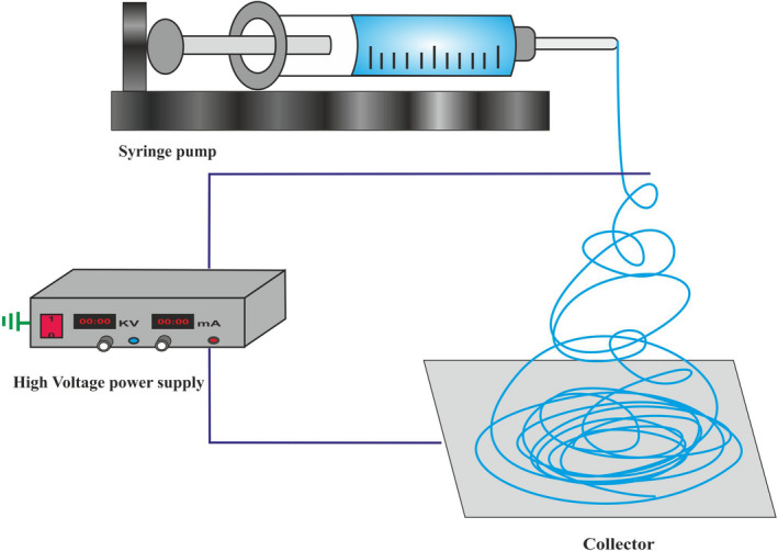 FIGURE 2