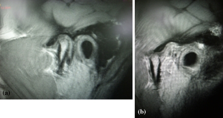 Fig. 7