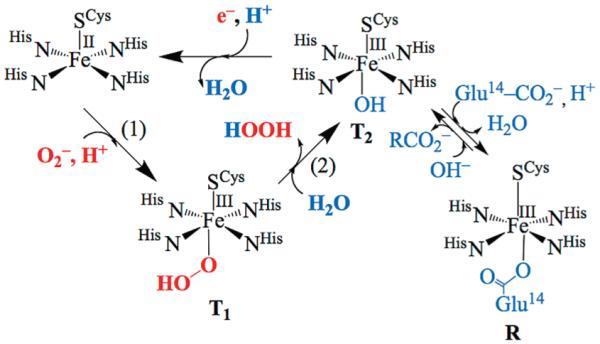 Scheme 1