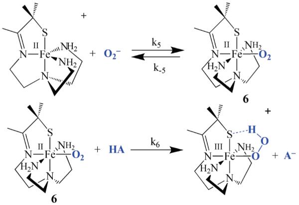 Scheme 5