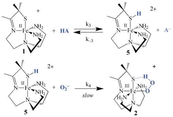 Scheme 4