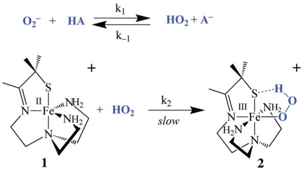 Scheme 3