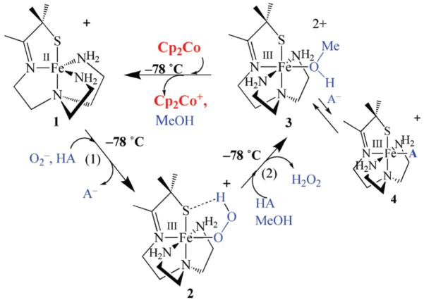 Scheme 2