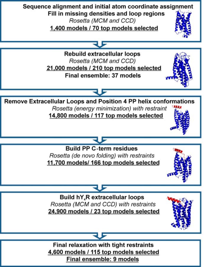 FIGURE 1.