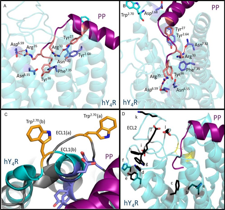 FIGURE 7.