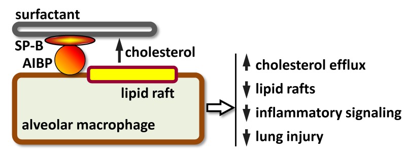 graphic file with name jciinsight-3-120519-g073.jpg