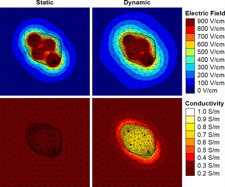 FIG. 3.