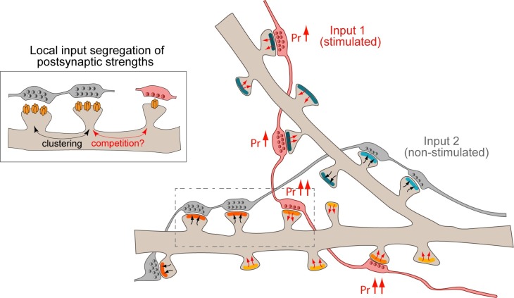 Fig 8