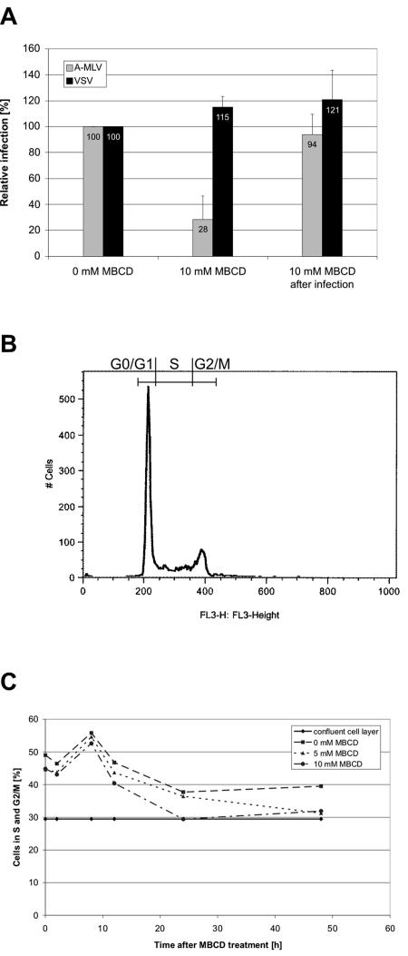 FIG. 2.