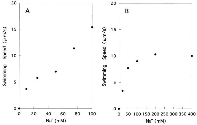 FIG. 6