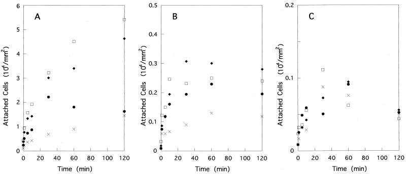 FIG. 1