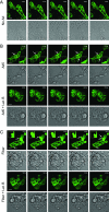 FIG. 9.