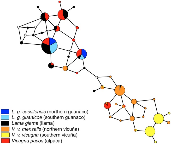 FIGURE 2