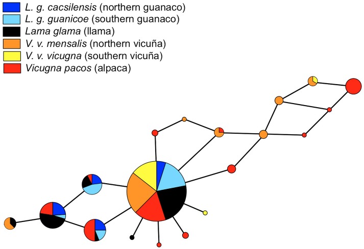 FIGURE 3