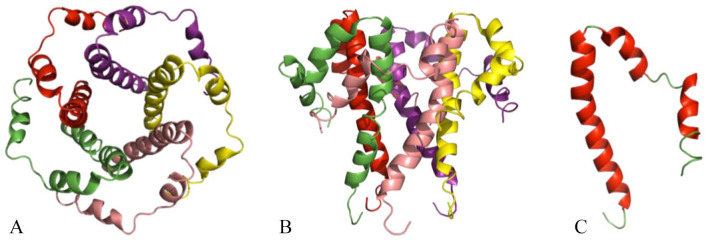 Figure 18.