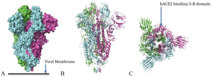 Figure 14.