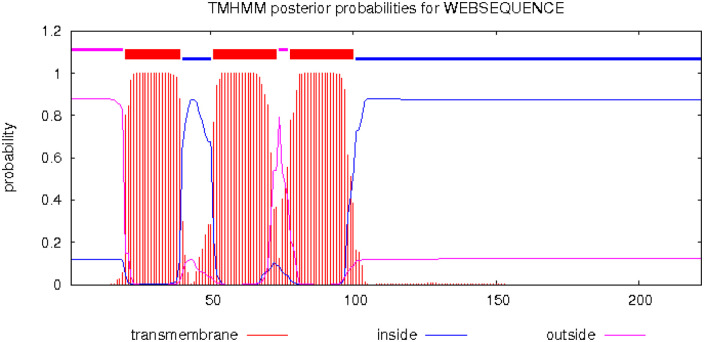 Figure 19.