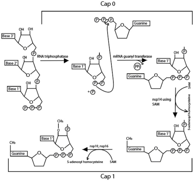 Figure 2.