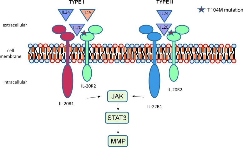 FIG. 1.