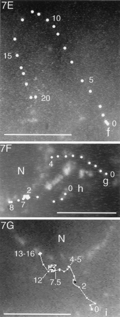 FIG. 7.