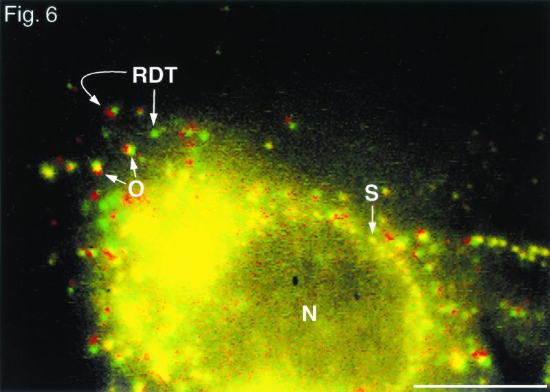 FIG. 6.