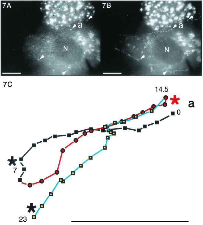 FIG. 7.