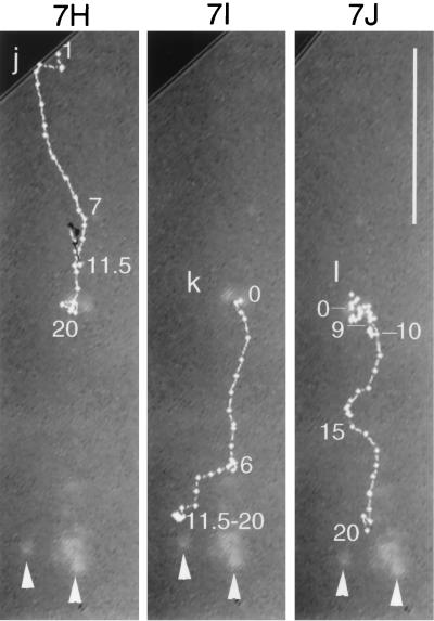 FIG. 7.