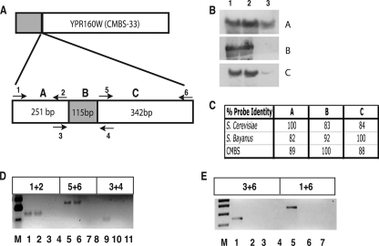 FIG. 4.